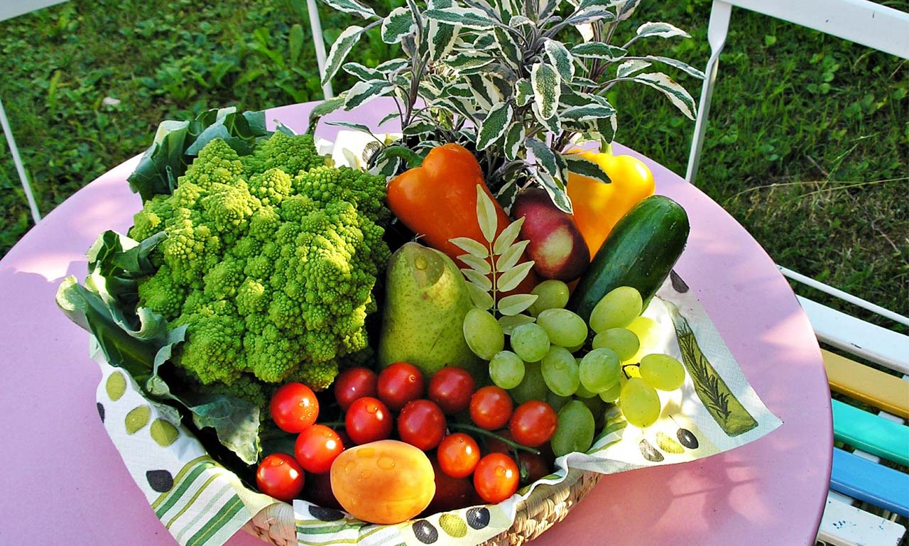 企业级应用支持的DDOS接单平台