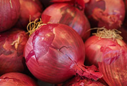 机器学习系统的网络ddos攻击软件