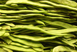 安卓ddos攻击工具