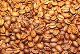 安卓ddos攻击工具